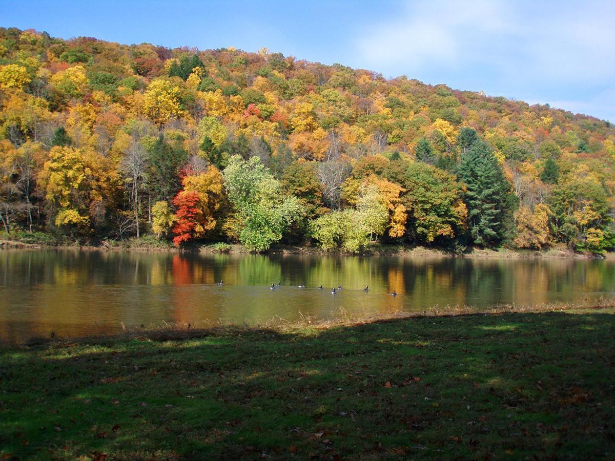 Spacious Home With Deck, Grill And Delaware River View Callicoon Eksteriør bilde